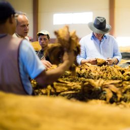 Hablemos de Marcas: AJ Fernández