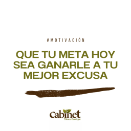 Datos & Puntos: Rocky Patel